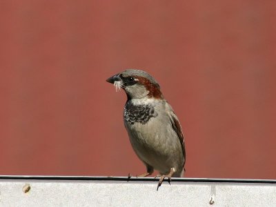 g3/55/947955/3/122702461.rxi7eH06.jpg