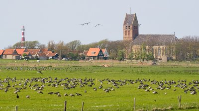 Hollum - Ameland (NL)