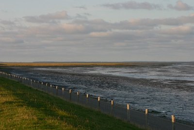 De Wadden - Texel (NL)