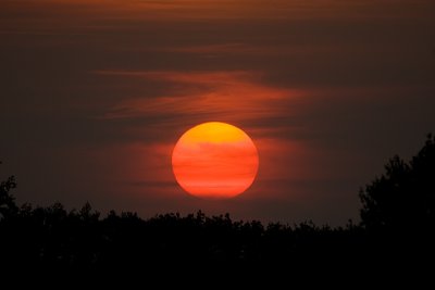 Zon / Sun