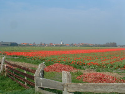 den Hoorn - Texel (NL)