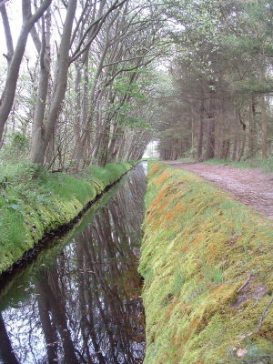 de Dennen - Texel (NL)