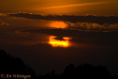 Zon / Sun