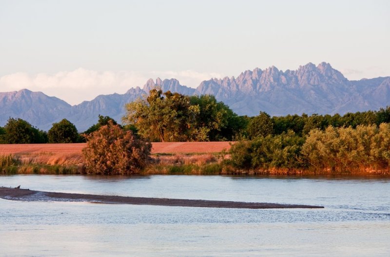 Organ Mountains from the Rio Grande near Mesilla, NM