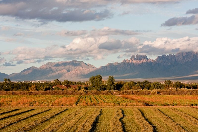 Farm fields in Mesilla framed by the Organ Mountains