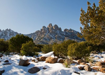 East side of the Organ Mountains at Aguirre Springs, elevation  c. 5500 ft. (1675 m)