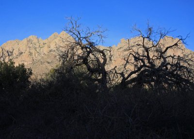 Organ Mountains from trail in Dripping Springs area