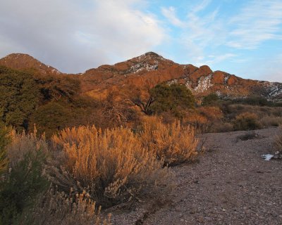 Organ Mountains along the Soledad Canyon trail
