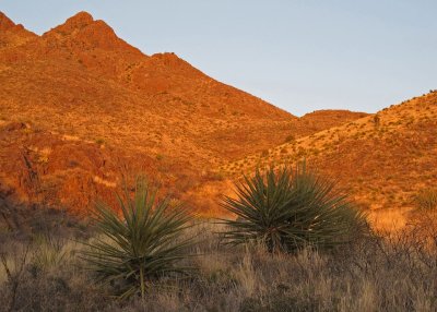 Sunset on Organ Mountains from Achenback Canyon trail