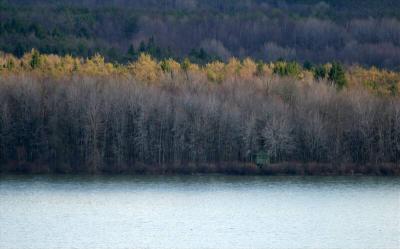 Our neighborhood  and nearby State Park, western PA