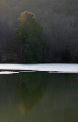 Reflections on thin ice