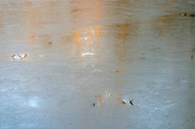 Reflections on thin ice