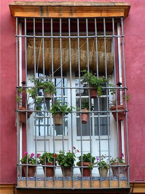 cordoba-seville025_std.jpg