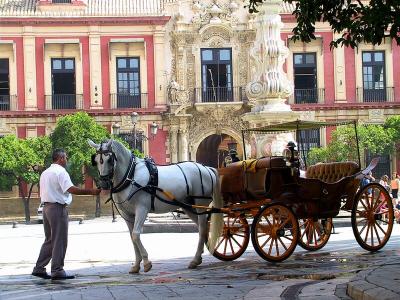 cordoba-seville031_std.jpg