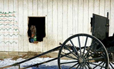 Amish horse without buggy
