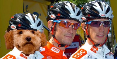 schleck_brothers3.jpg