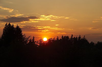 IMG_4556-2.jpg