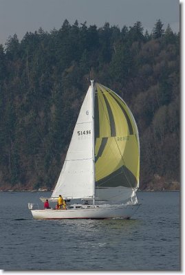 wintervashon