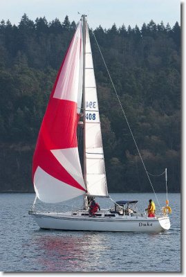 CO4b2IMG_3582.jpg