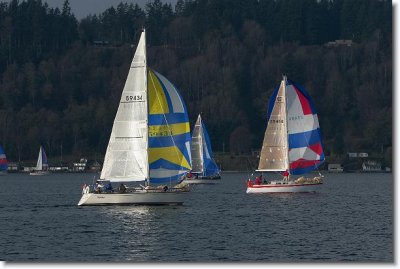 CO4b2IMG_3570.jpg