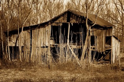 Old Old Barn Sepia