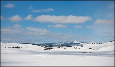 yellowstone2010