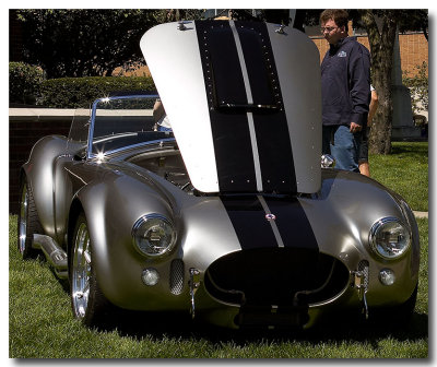 cobra