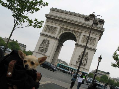 L'arc de Triomphe