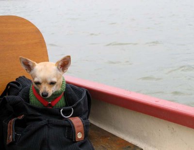 on the boat in front of Versailles