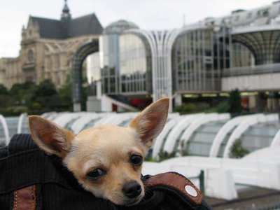 les halles... but it's cold today!!