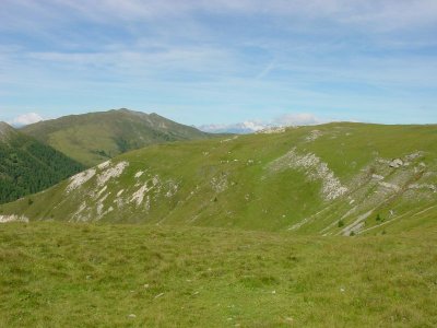 DSC06606.JPG