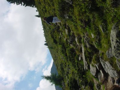 DSC06675.JPG