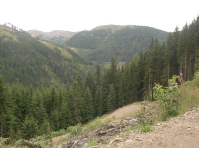 HPIM0457.JPG