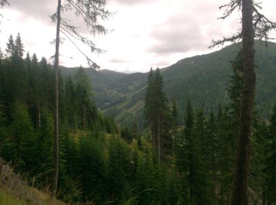 HPIM0460.JPG