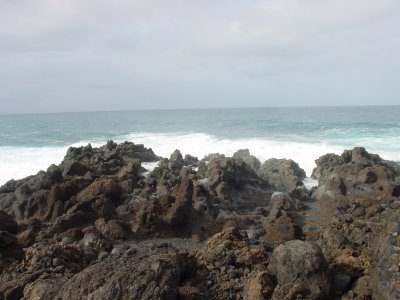 DSC07210.JPG