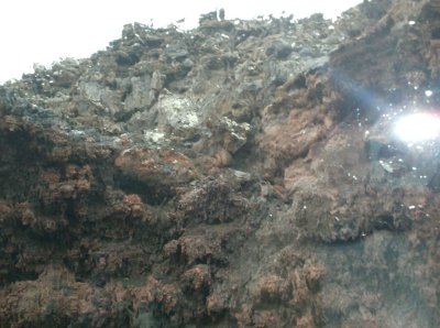 HPIM0960.JPG