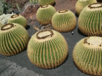 HPIM0982.JPG