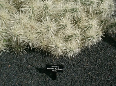 HPIM0988.JPG