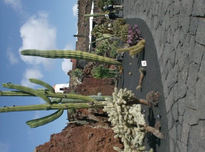 HPIM0994.JPG