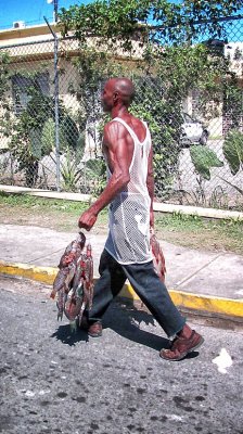 Western Caribbean - 2010