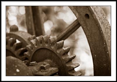 Antique Grape Crusher