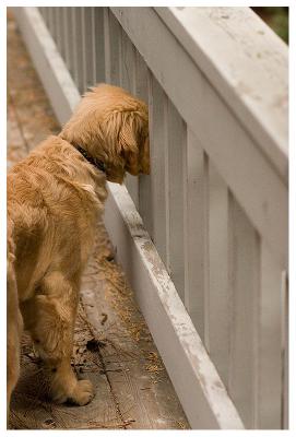 IMG_8105acr.JPG