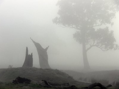 Adapt or perish, now as ever, is nature's inexorable imperative. -H. G. Wells