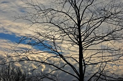Come, Winter, with thine angry howl....
