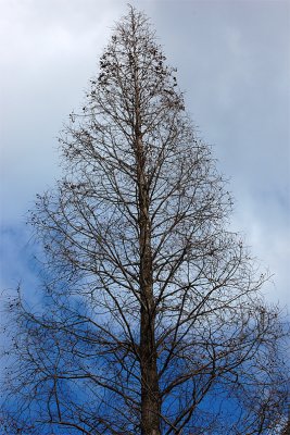 g3/56/398356/3/114947346.AaLAtkxX.jpg