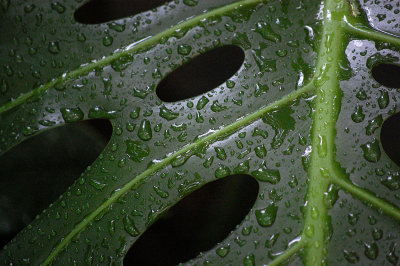 g3/56/398356/3/123064900.xbnebG1d.jpg