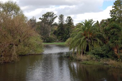 Tranquil lakes at The Royal Botanic Gardens in Melbourne.