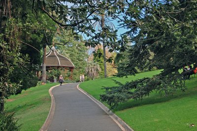 A delightful walking path in Melbourne's Royal Botanic Gardens.
