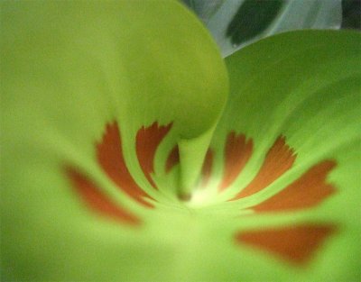 g3/56/398356/3/123659826.8ASD799U.jpg