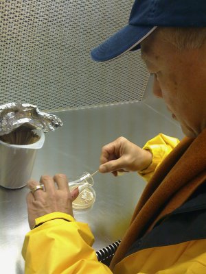Roy in his lab at Fermalogic, April 2009